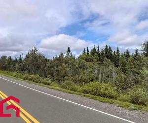 Terrain — photo 3