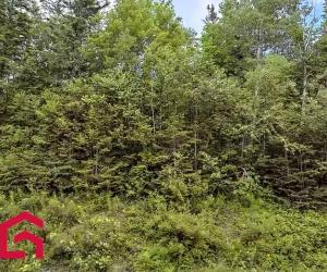Terrain — photo 1