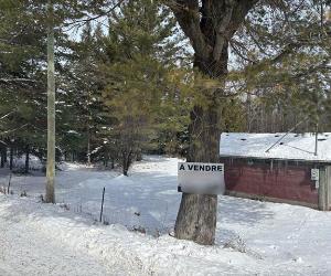 Estrie (Dudswell): terre 132,8 acres, en partie cultivable et forêt avec cédrière mature et petit lac 2 ha — photo 1