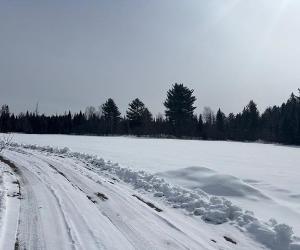 Estrie (Dudswell): terre 132,8 acres, en partie cultivable et forêt avec cédrière mature et petit lac 2 ha — photo 2