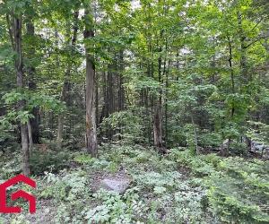 Terrain — photo 2