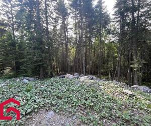 Terrain — photo 3