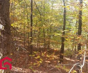 Terrain — photo 2