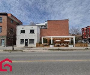 117 119 Av. des Pins E. — photo 1