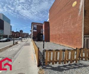 117 119 Av. des Pins E. — photo 3