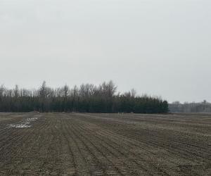 Terrain — photo 3