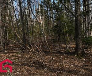 Terrain — photo 1