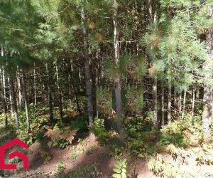 Terrain — photo 1