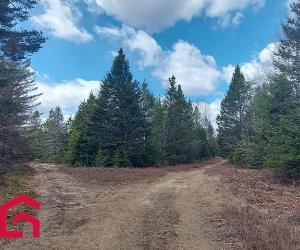 Terrain — photo 1