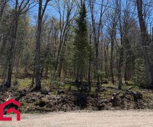 Terrain — photo 3