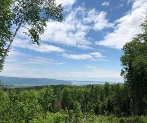 Terrain a vendre Baie St-Paul — photo 1