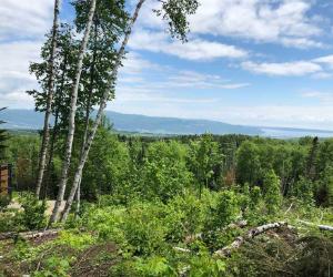 Terrain a vendre Baie St-Paul — photo 2