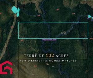 Terrain — photo 1