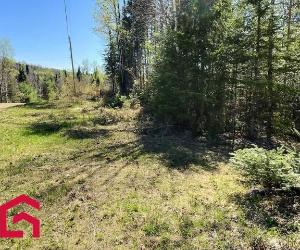 Terrain — photo 2