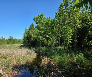 Terrain — photo 1