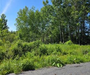 Terrain — photo 1