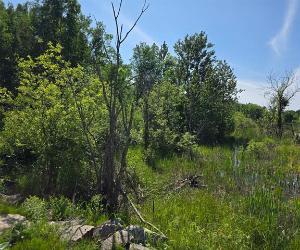 Terrain — photo 2
