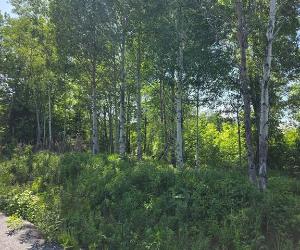 Terrain — photo 3