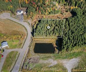 Terrain — photo 1