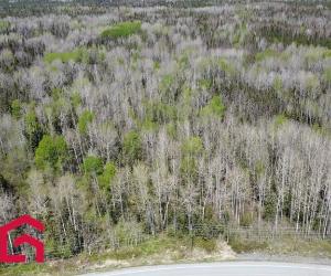 Terrain — photo 3