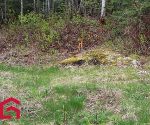 Terrain — photo 1
