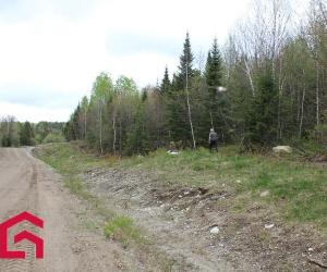 Terrain — photo 3
