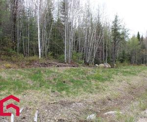 Terrain — photo 3
