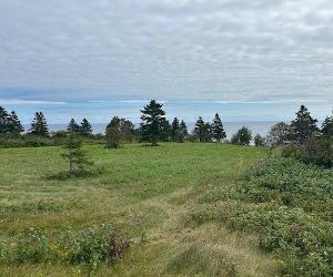 Terrain — photo 2