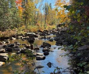 Terrain sur ruisseau (Saint-Donat) — photo 1