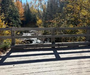 Terrain sur ruisseau (Saint-Donat) — photo 2