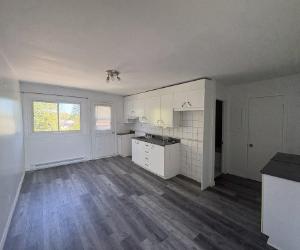 55 Rue Saint-Patrice — photo 2