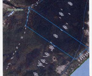 À VENDRE – Terre boisée sur l’Île de Grâce (lot 5592690 Cadastre du Québec) — photo 1