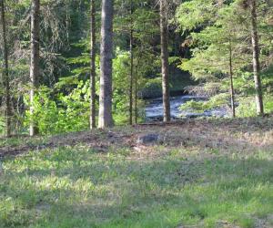 terrain a vendre — photo 3