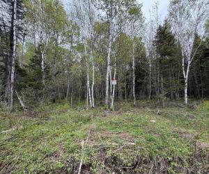 Plusieurs terrains dont certains avec droit de construire... Dans différentes régions du Québec... — photo 1