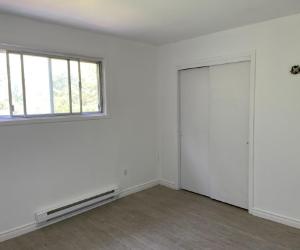 44 Rue Young — photo 3