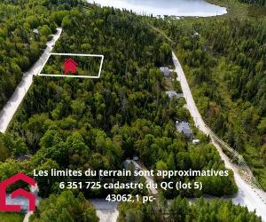 Terrain — photo 1