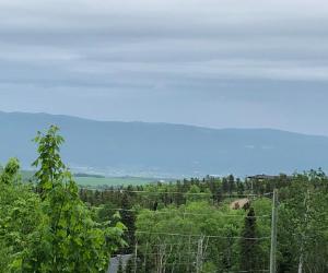 Terrain a vendre Baie St-Paul — photo 3