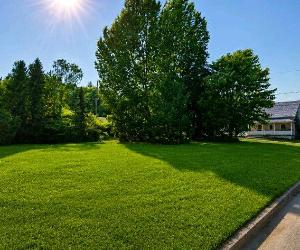 🏡 Terrain résidentiel de 931,8 m² à vendre – Saint-Urbain, Charlevoix ⭐ — photo 2