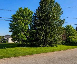 🏡 Terrain résidentiel de 931,8 m² à vendre – Saint-Urbain, Charlevoix ⭐ — photo 3