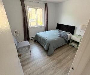 Chambres à louer — photo 1