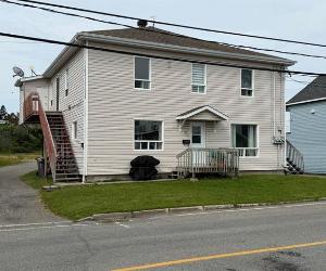231 239 Av. Fraser — photo 2