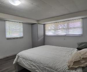 Voisin Université, Cégep Ste-Foy et St.Lawrence pour étudiant(e) dans appartement en colocation au 1/2 ss, fraichement repeint, plancher de bois — photo 1