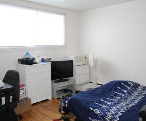 Voisine Université Laval près Cégep Garneau pour étudiant(e) non fumeur(euse) seulement, aucun animal permis, dans appartement à partager au 1/2 ss — photo 1
