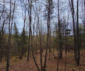 895 Chemin Maskinongé, Namur, QC, Canada — photo 2