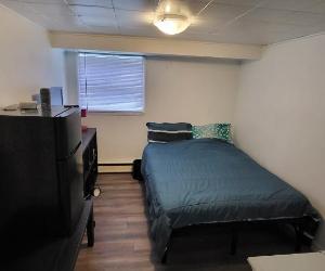 Voisin Université, Cégep Ste-Foy et St.Lawrence pour étudiant(e) dans appartement en colocation au 1/2 ss, fraichement repeint, plancher de bois strat — photo 1