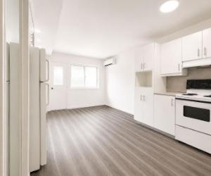 4301 Rue de la Roche — photo 3