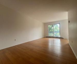 541 Rue Paul — photo 3