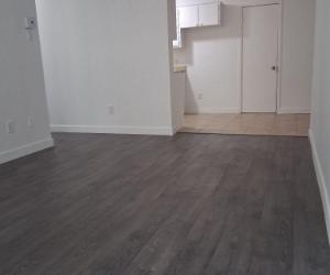541 Rue Paul — photo 3