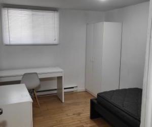 Libre maintenant dans colocation voisine Université et des Cégeps Garneau Ste-Foy et St.Lawrence pour étudiant(e) dans appartement en colocation — photo 1