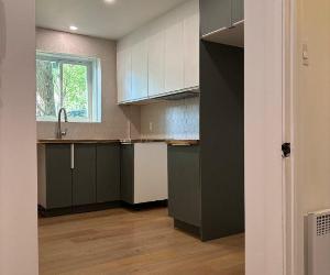 5015 Rue Dickson — photo 1
